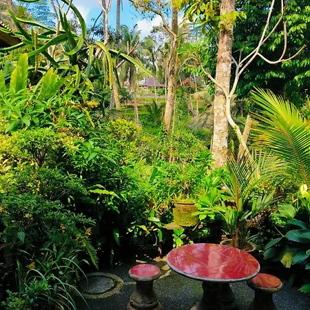 Rumah Irak Et Kadek Bali