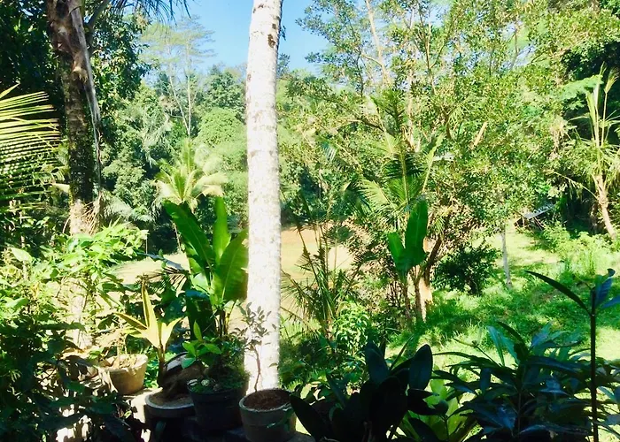 Rumah Irak Et Kadek Bali 3* ウブド