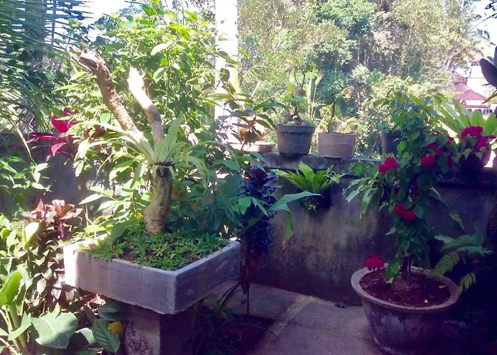 Rumah Irak Et Kadek Bali ウブド