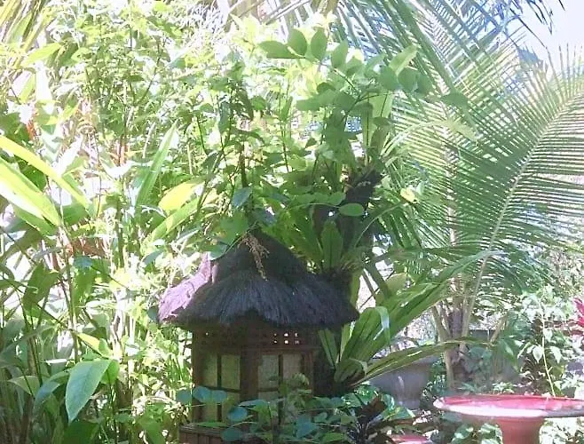 Rumah Irak Et Kadek Bali