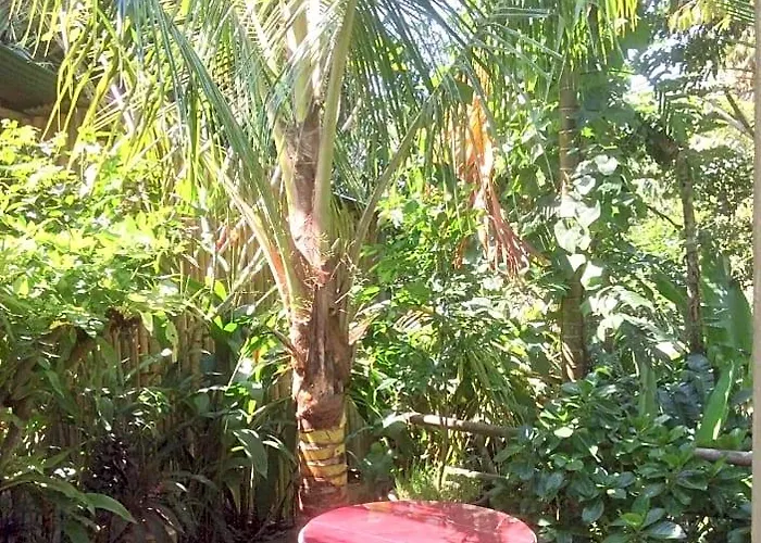 Rumah Irak Et Kadek Bali 3* ウブド
